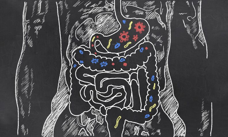 Parasites dans la zone gastro-intestinale d'une personne